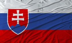 Slovakya, Ukrayna'ya acil durumlar için verilen elektriği kesecek