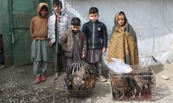 Afganistan: Son bir yılda 3 milyondan fazla mülteci geri döndü