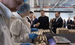 Çinli şirketler, mevzuattaki engellere rağmen AB'de yatırımlarını artıracak