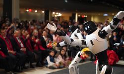 Explainer: What is driving China's rapid rise in robots?