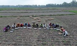 Bangladeş'te yıldırım çarpması sonucu 12 kişi hayatını kaybetti