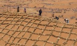 Çin çölleşmeyle mücadele için Tengger Çölü'ndeki saman bariyerleri yeniliyor