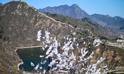 Çin Seddi'nden ilkbahar manzaraları