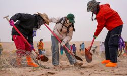 Çin'de çöl arazilerini ağaçlandırma kampanyasına 30.000'den fazla gönüllü katıldı