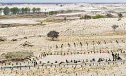 Çin'in İç Moğolistan bölgesinde çölleşmeyle mücadele çalışmaları sürüyor