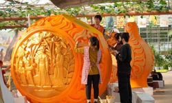 Çin'in Shouguang kenti 27. Uluslararası Sebze Bilim ve Teknolojisi Fuarı'na ev sahipliği yapacak