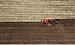 Çin'in Tongliao kentinde mısır ekim alanının 2026'da 1,33 milyon hektara ulaşması bekleniyor