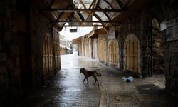 İsrail'in Filistinli tutuklulara idam cezası getirmesine karşı Batı Şeria'da genel grev düzenlendi