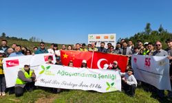 İstanbul'daki Türkiye-Çin Dostluk ve Birlik Hatıra Ormanı'nda fidan dikme etkinliği düzenlendi