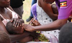 Uganda'da sıtmayla mücadele için 4,5 milyon cibinlik dağıtıyor