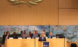 Çin: Dünya Sağlık Asamblesi'nin Taiwan'la ilgili kararı, uluslararası toplumun tek Çin ilkesine bağlılığını gösteriyor