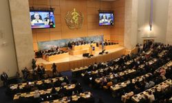 Çin: Dünya Sağlık Asamblesi'nin Taiwan'la ilgili kararı, uluslararası toplumun uzlaşısını yansıtıyor