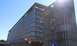 DSÖ: Hantavirüs salgınında vaka sayısı 12'ye yükseldi