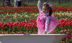 Kanada'da düzenlenen lale festivali renkli görüntülere sahne oldu