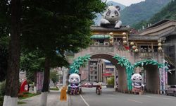 Çin'de dev panda temalı milli park ziyaretçilerin yoğun ilgisini çekiyor