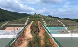 Çin'in Guangxi bölgesindeki ekolojik köprü, yaban hayvanları için doğal geçit işlevi görüyor