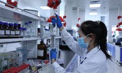 Çin'in Handan kenti teknoloji odaklı büyüme ile inovasyon ekosistemini genişletiyor