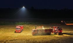 Çinli çiftçiler, gece hasadında aydınlatma dronelarından yararlanıyor