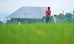 Hindistan, güneş enerjisi kapasite artışında ABD'yi geride bıraktı