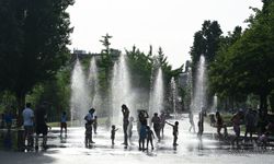 İspanya'da sıcak hava dalgasının ardından farklı bölgelerde orman yangınları çıktı