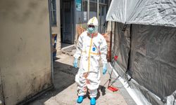 Kongo Demokratik Cumhuriyeti'nde Ebola vaka sayısı 782'ye yükseldi
