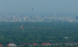 Myanmar bu yılki yağış sezonunda 21 milyondan fazla fidan dikecek
