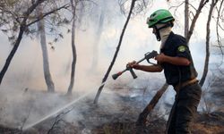 Cezayir'in kuzeyinde orman yangını: 6 ölü