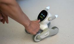 Çin'in Chengdu kenti yapay zeka ve robotikte büyümesini sürdürüyor