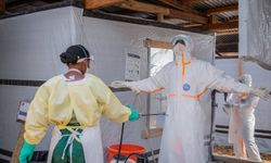 Kongo Demokratik Cumhuriyeti'nde Ebola vaka sayısı 1.800'ü aştı