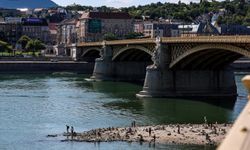 Tuna Nehri'nin su seviyesinin rekor düzeyde düşmesi üzerine Macaristan nükleer reaktörü geçici olarak kapatıldı
