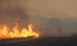 ABD'nin Nevada eyaletinde orman yangını: Binlerce kişi için tahliye emri verildi