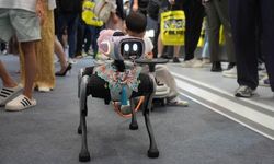 Beijing'deki Dünya Robot Konferansı'nda farklı alanlara yönelik robotik çözümler sergileniyor