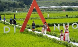 Çin'in Sichuan eyaletindeki çeltik tarlasında etnik kıyafet defilesi düzenlendi