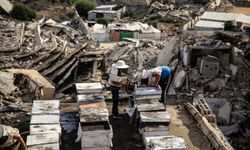 Filistinli arıcı Gazze'de saldırıların gölgesinde bal üretimini sürdürüyor