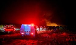 Kuzey Makedonya'da devam eden orman yangınıyla mücadelede zorluk yaşanıyor
