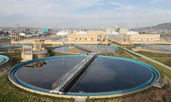 Moğolistan'ın Tuul Nehri, Çin-Moğolistan işbirliğiyle yeniden hayat buldu