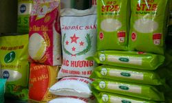 Vietnam'ın ithalat-ihracat hacmi ilk yedi ayda 659,6 milyar dolara ulaştı