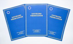 Xinhua Enstitüsü: Çin'in Ekoloji ve Çevre Yasası küresel çevre yönetişimine katkı sunacak
