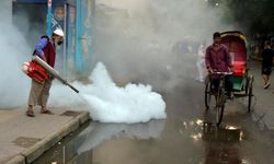 Bangladeş'te dang humması vakaları 40.000'e yaklaşırken ölü sayısı 111'e yükseldi
