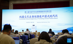 China Focus: Think tank report highlights value of China's new popular literature, art