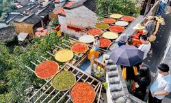 Çin'de sonbahar hasat manzaraları turistlerden yoğun ilgi görüyor