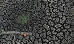 Sri Lanka'da El Nino kaynaklı kuraklık 115.000'den fazla kişiyi olumsuz etkiledi