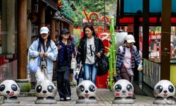 Çin'de Baoxing ilçesi dev panda temalı ekoturizmle öne çıkıyor