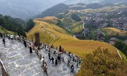 Çin'in Longji pirinç terasları sonbahar renkleriyle turistlerin ilgi odağı oldu