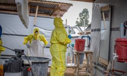Kongo Demokratik Cumhuriyeti'nde Ebola salgınının görüldüğü eyalet sayısı 8'e çıktı