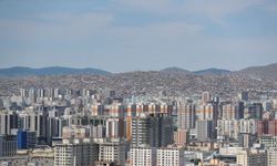 Moğolistan'da ayı saldırısı: 1 ölü, 1 yaralı