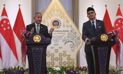 Singapur ve Endonezya orman yangınlarından sorumlu şirketlerle mücadele için ortak görev gücü kuracak