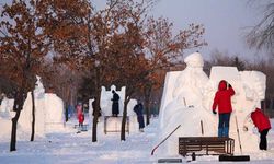 Çin'in Harbin kentinde kardan heykel yarışması yapıldı