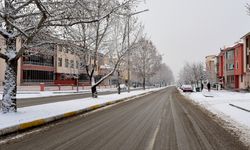 Erzincan son 40 yılın en soğuk günlerini yaşıyor