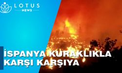 Uzman: İspanya'da kaydedilen en kurak ikinci Ocak ayı, kuraklık endişesine yol açtı